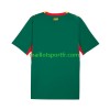 Maillot de Foot Sénégal Exterieur 2026 2027